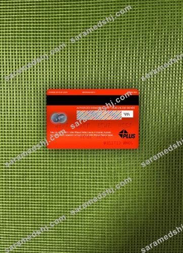 USA Wells Fargo bank mastercard photolook back